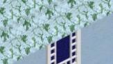 AVENIDA_r4