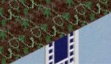 AVENIDA_r5