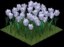 001flower