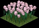 003flower