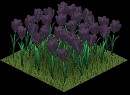 004flower