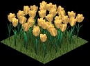 006flower