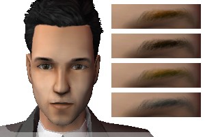 AVEeyebrow011_15