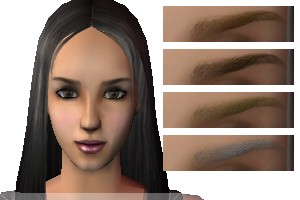 AVEeyebrow016_20