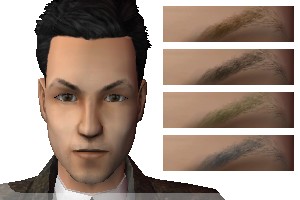 AVEeyebrow021_25