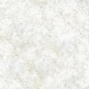 AVENIDAplant004