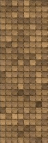 AVENIDAwall2_021