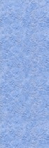 AVENIDAwall2_028