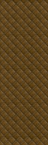 AVENIDAwall2_065
