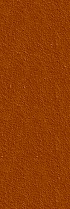 AVENIDAwall2_077