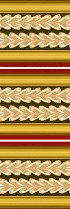 AVENIDAwall2_141