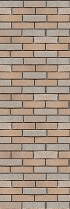AVENIDAwall2_148