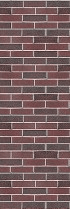AVENIDAwall2_149