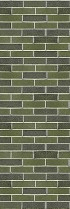 AVENIDAwall2_150