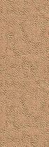 AVENIDAwall2_175
