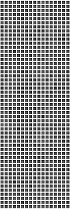 AVENIDAwall2_181