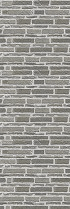 AVENIDAwall2_184