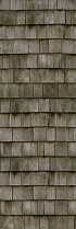 AVENIDAwall2_196