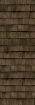 AVENIDAwall2_197