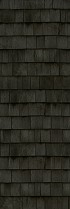AVENIDAwall2_198