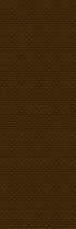 AVENIDAwall2_236