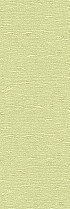 AVENIDAwall2_255