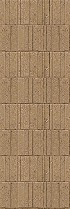 AVENIDAwall2_264