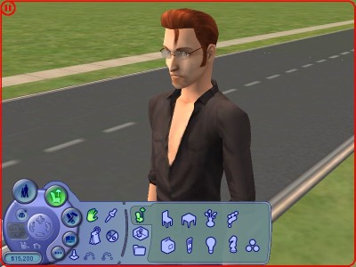 SIMS2game1