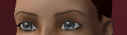 AVEeyebrows001