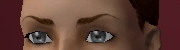 AVEeyebrows002