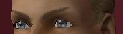 AVEeyebrows004