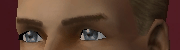 AVEeyebrows005