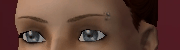 AVEeyebrows008