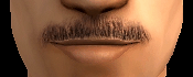 AVEfacialhair003
