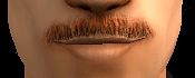 AVEfacialhair004