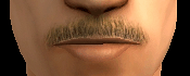AVEfacialhair005