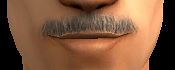 AVEfacialhair006