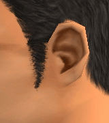 AVEfacialhair008