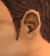 AVEfacialhair009