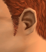 AVEfacialhair010