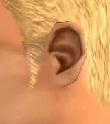 AVEfacialhair011