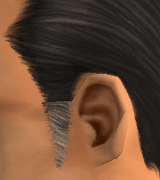 AVEfacialhair012
