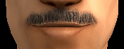 AVEfacialhair013